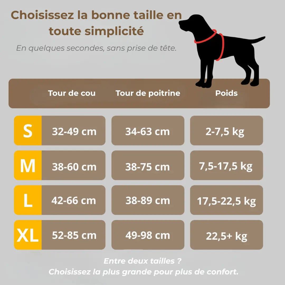 CANÉO– Harnais Anti-Traction pour des Promenades Plus Sereines