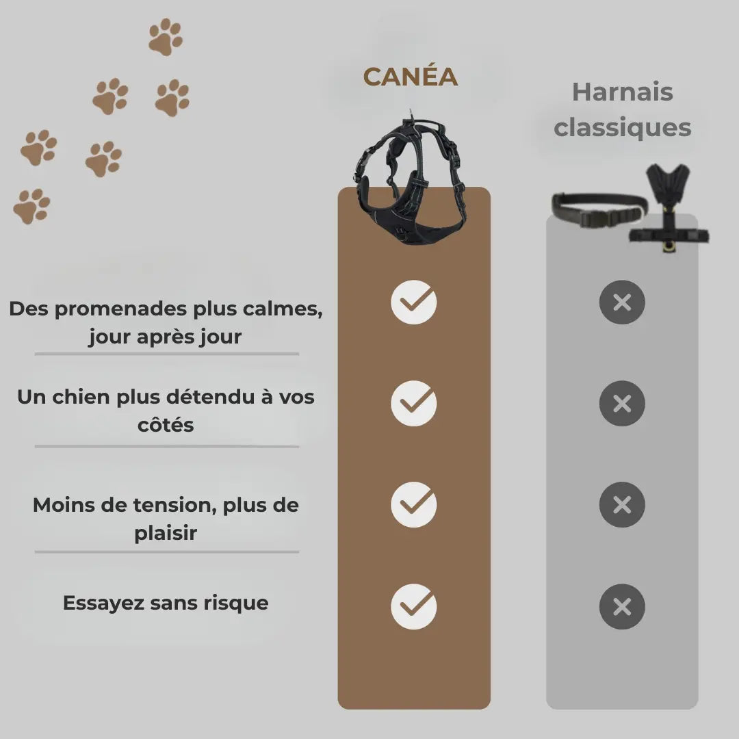CANÉO– Harnais Anti-Traction pour des Promenades Plus Sereines